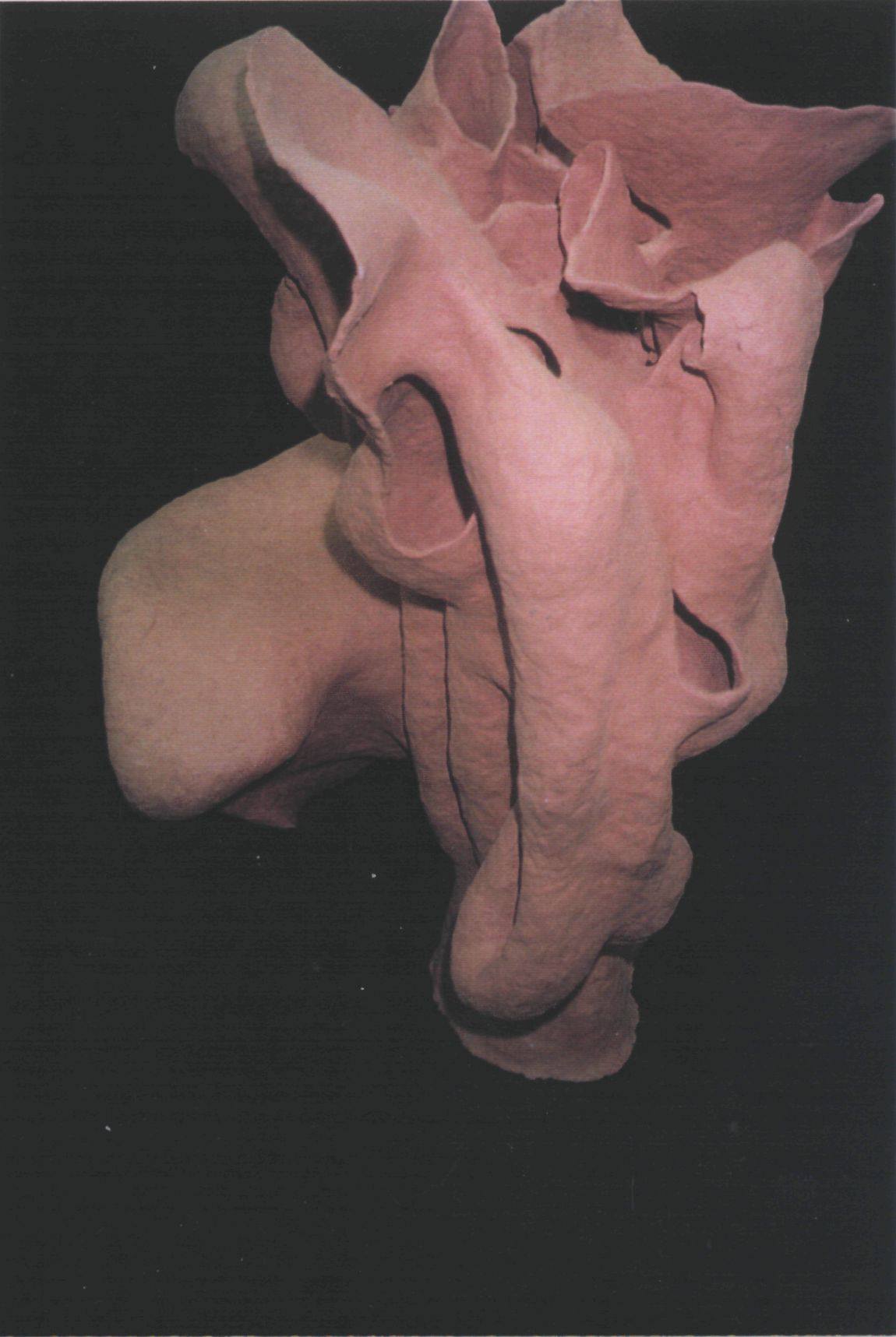Image 53